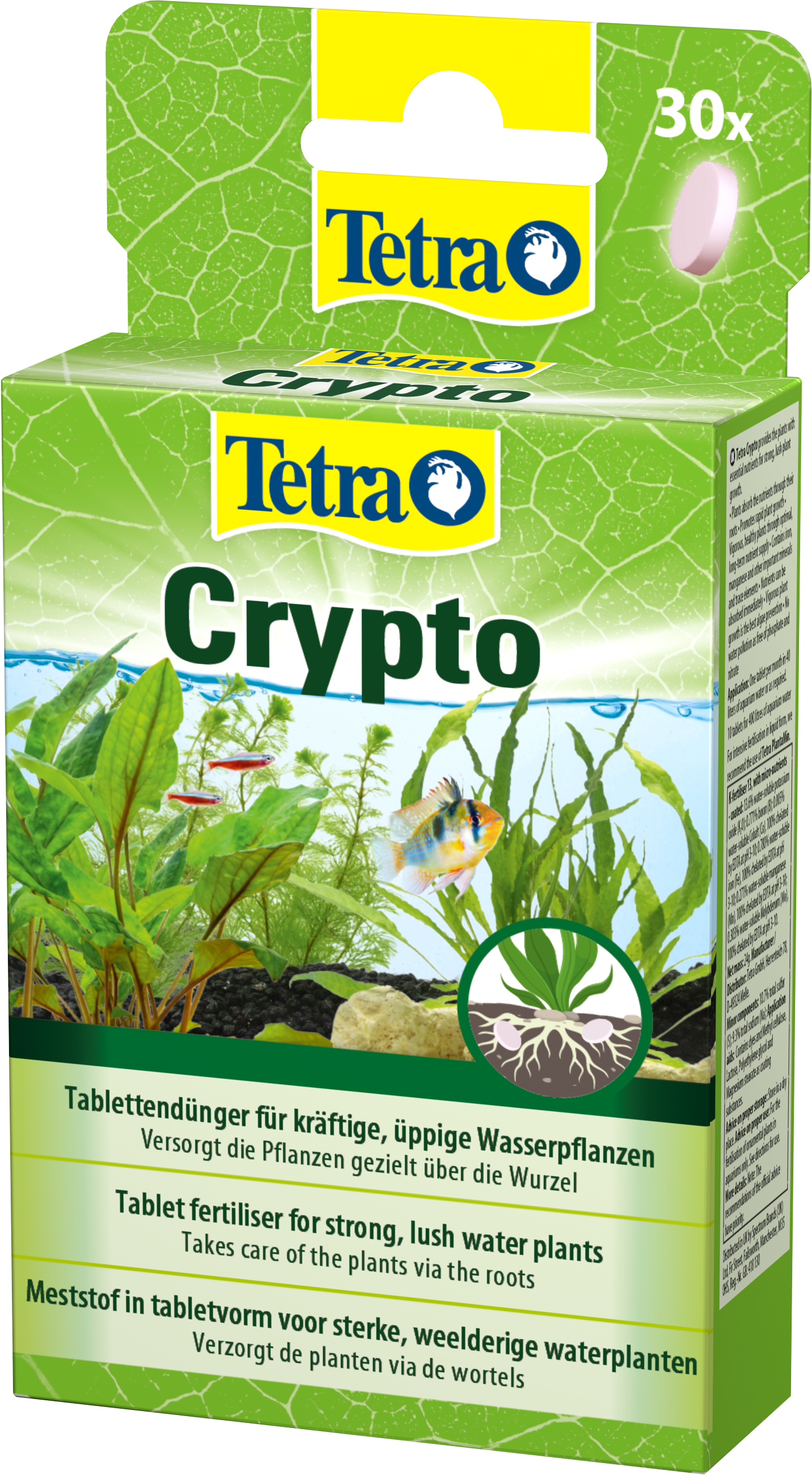 Tetra Crypto-2