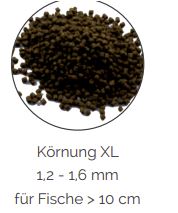 dr-bassleer-koernung-xl.jpg?ts=1698674897