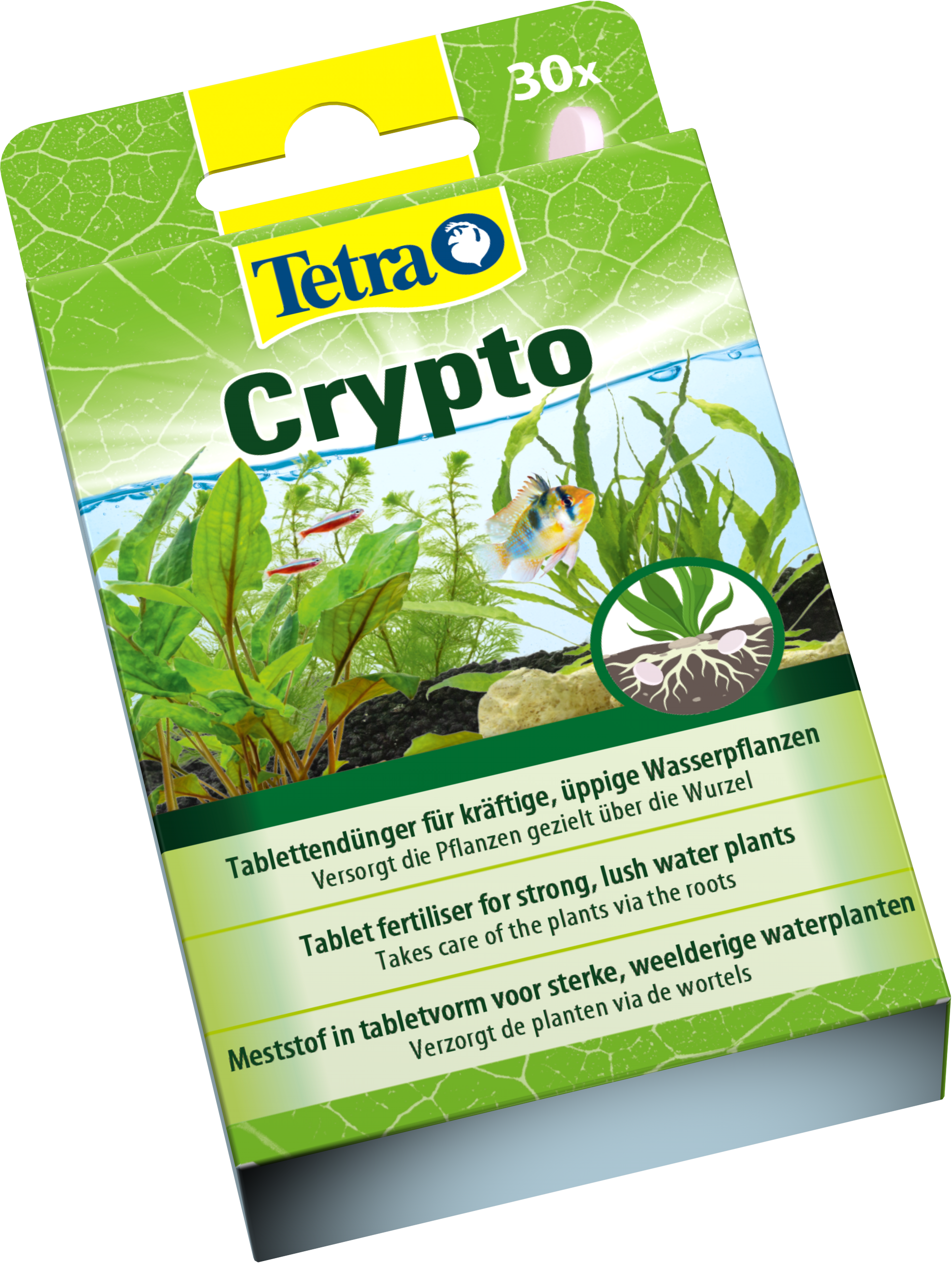 Tetra Crypto-3