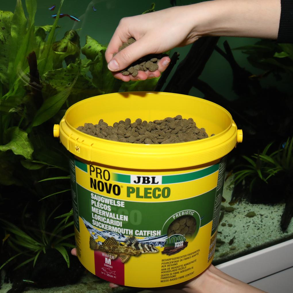 JBL PRONOVO PLECO WAFER M 5,5l