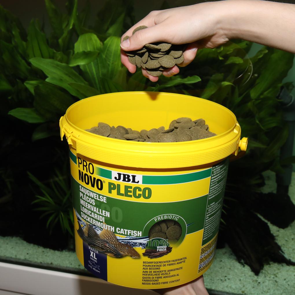 JBL PRONOVO PLECO WAFER XL 5,5l